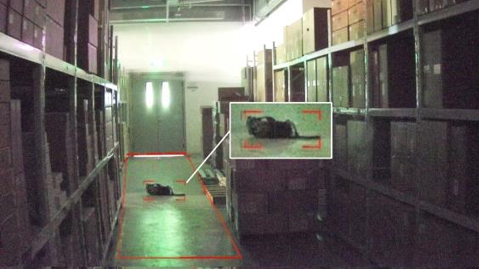 ������̳-���׵Ĳ�����-ʮ�󲤲�������ƽ̨-��������̳