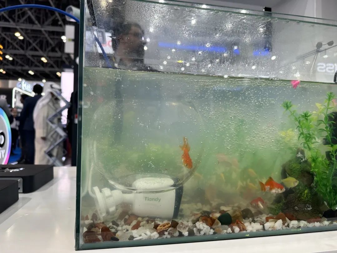 ������̳-���׵Ĳ�����-ʮ�󲤲�������ƽ̨-��������̳