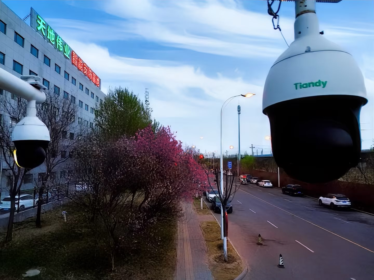 ������̳-���׵Ĳ�����-ʮ�󲤲�������ƽ̨-��������̳