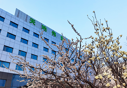 ������̳-���׵Ĳ�����-ʮ�󲤲�������ƽ̨-��������̳