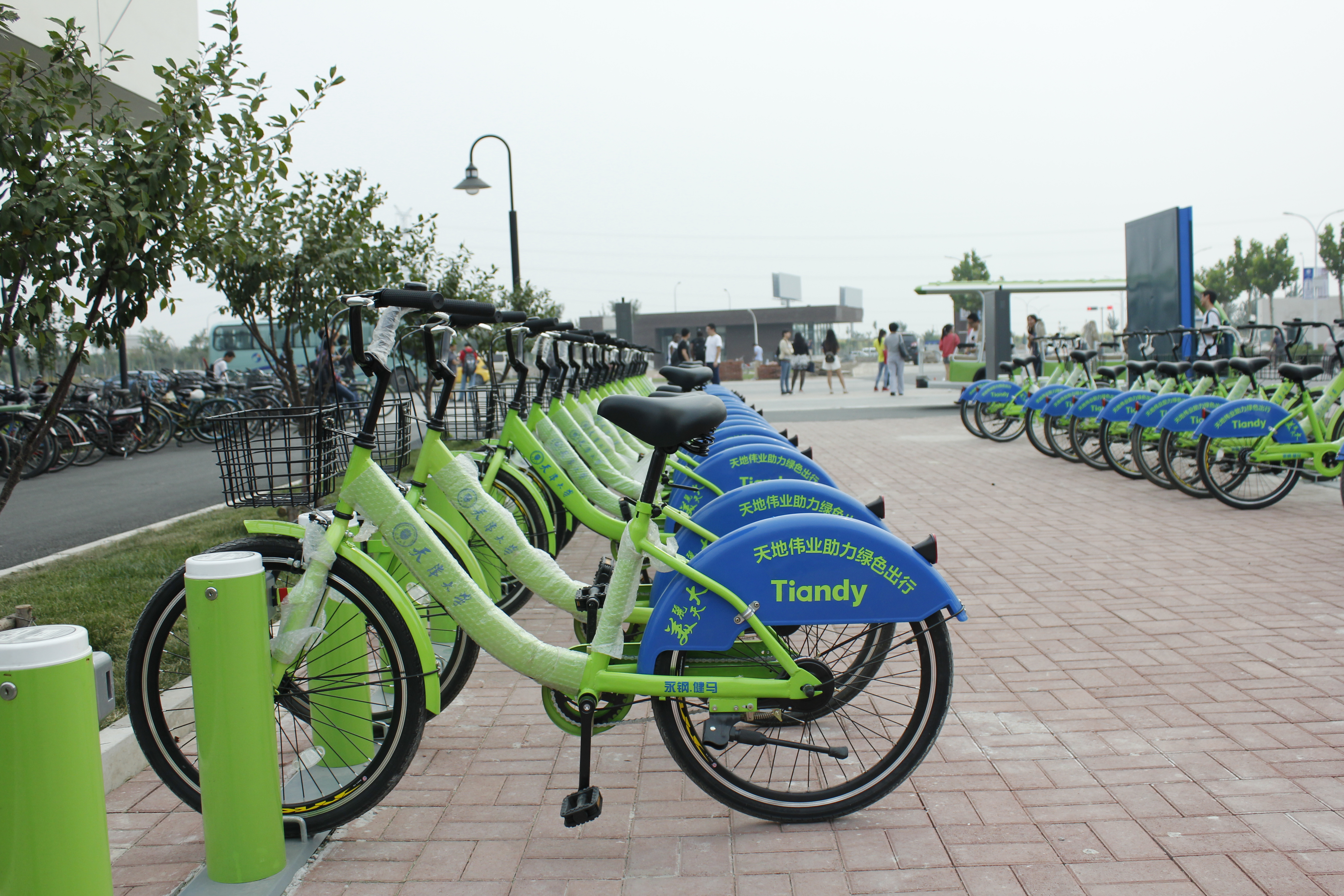 ������̳-���׵Ĳ�����-ʮ�󲤲�������ƽ̨-��������̳