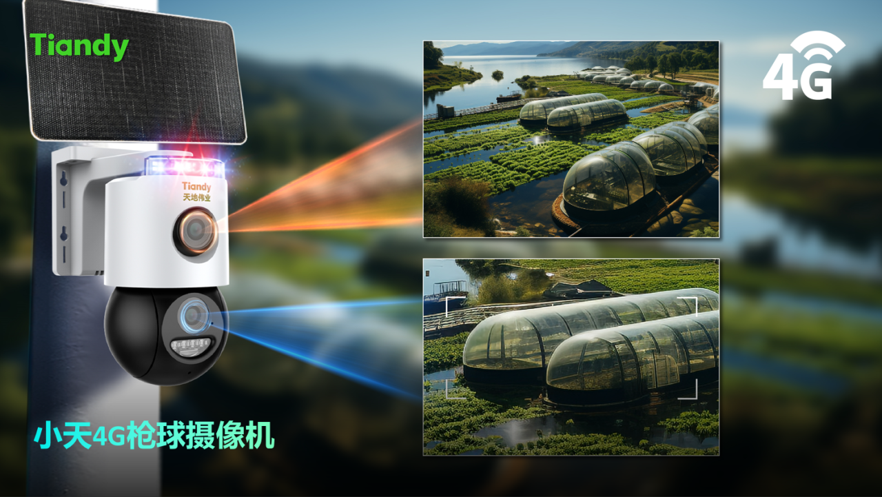 ������̳-���׵Ĳ�����-ʮ�󲤲�������ƽ̨-��������̳