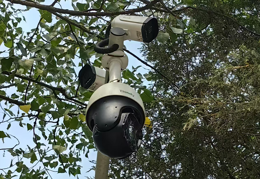 ������̳-���׵Ĳ�����-ʮ�󲤲�������ƽ̨-��������̳