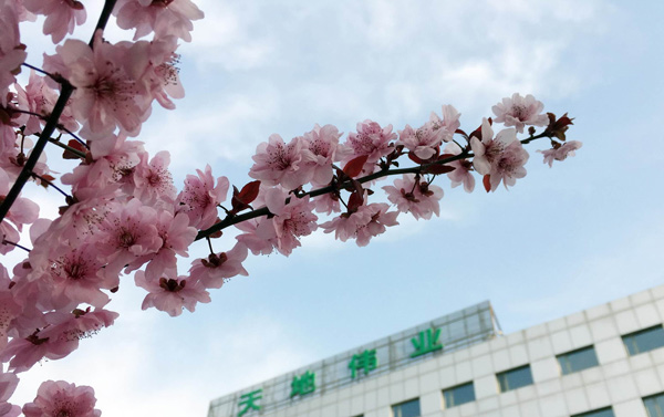 ������̳-���׵Ĳ�����-ʮ�󲤲�������ƽ̨-��������̳