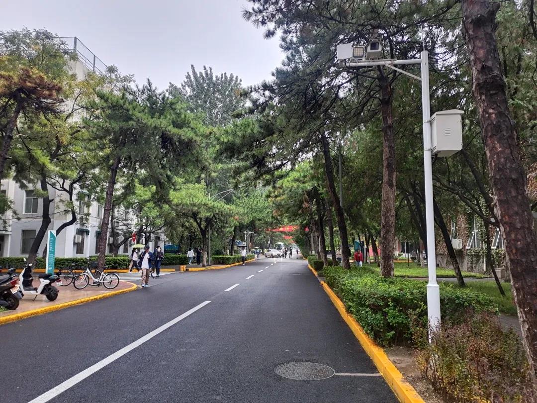 ������̳-���׵Ĳ�����-ʮ�󲤲�������ƽ̨-��������̳