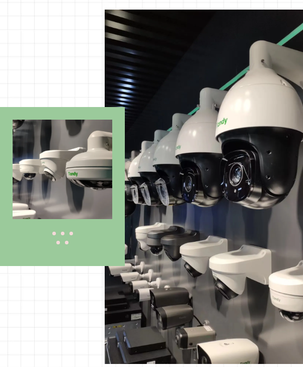 ������̳-���׵Ĳ�����-ʮ�󲤲�������ƽ̨-��������̳