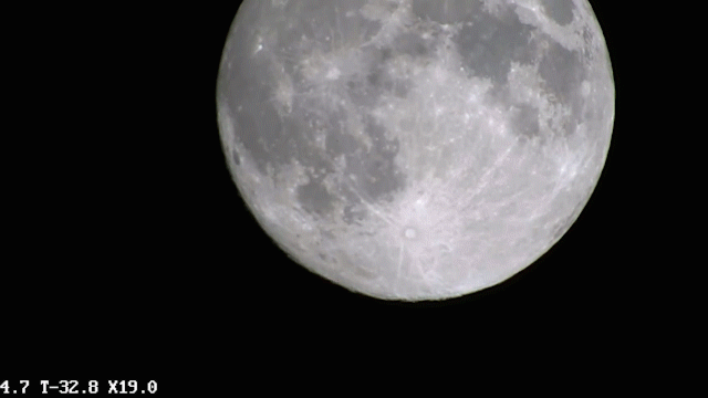 ������̳-���׵Ĳ�����-ʮ�󲤲�������ƽ̨-��������̳