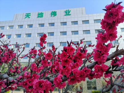 ������̳-���׵Ĳ�����-ʮ�󲤲�������ƽ̨-��������̳