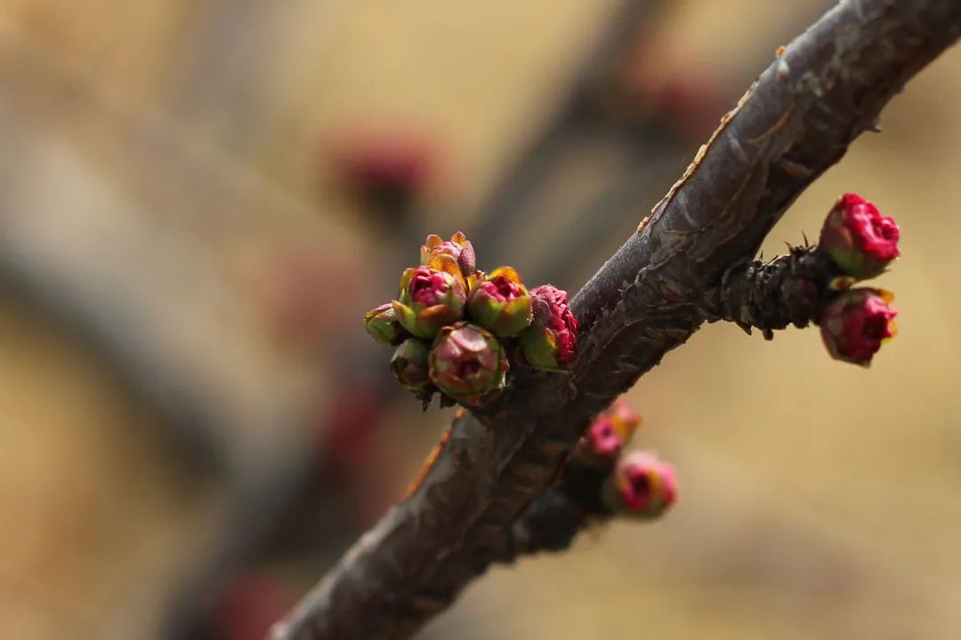 ������̳-���׵Ĳ�����-ʮ�󲤲�������ƽ̨-��������̳