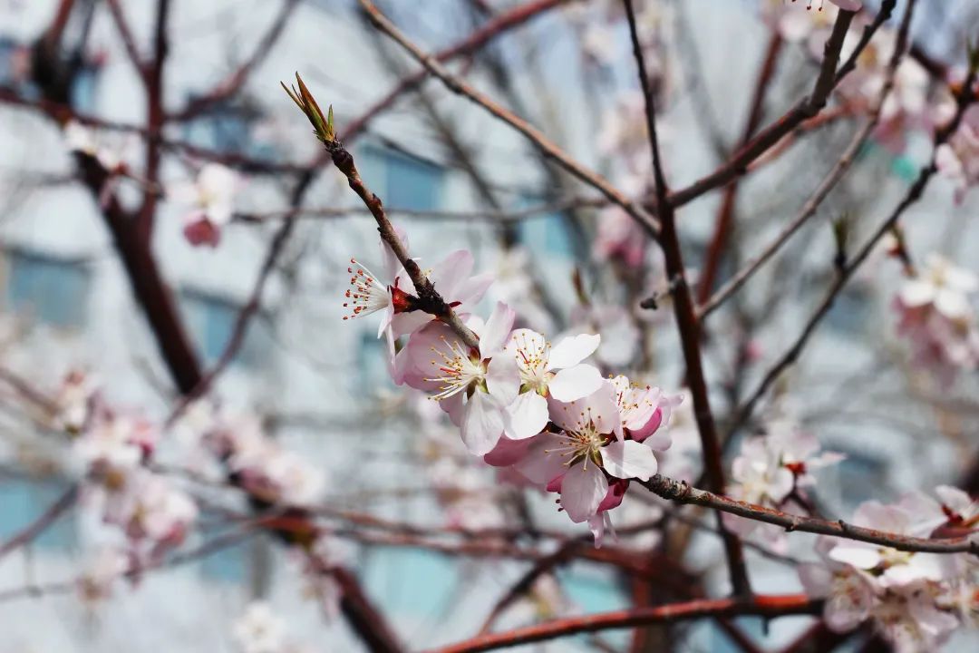 ������̳-���׵Ĳ�����-ʮ�󲤲�������ƽ̨-��������̳