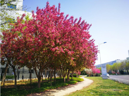 ������̳-���׵Ĳ�����-ʮ�󲤲�������ƽ̨-��������̳