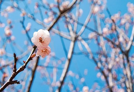 ������̳-���׵Ĳ�����-ʮ�󲤲�������ƽ̨-��������̳